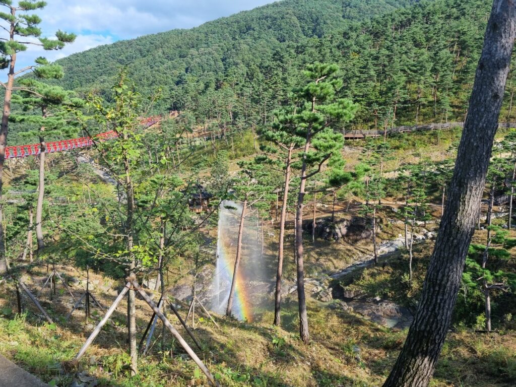 산청 동의보감촌, 한방의 기운을 품은 21세기 힐링 체험의 공간